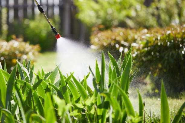 24/7 Emergency Mosquito Control experts in Amity, OR