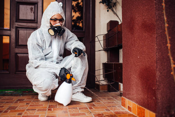 Reliable Mosquito Control contractor in Amity, OR by Show Me Pest Control